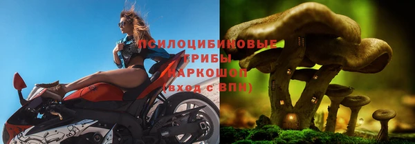 соль ск Алексин