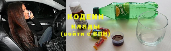 дурь Арсеньев