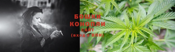 дурь Арсеньев