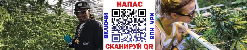 МАРИХУАНА тримм  цены наркотик  MEGA ссылки  Волжск 